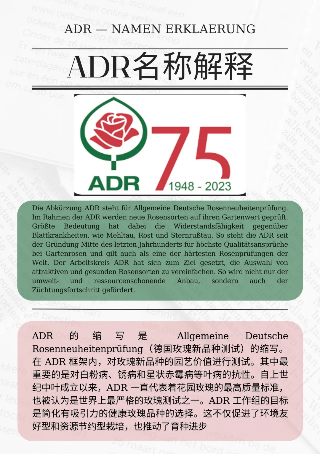 什么是ADR認(rèn)證，ADR月季官網(wǎng)名單