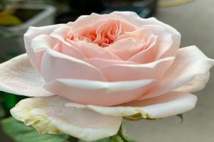 ?？怂古?/> </a>
                  <div   id=