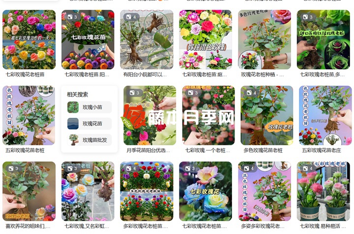 花卉界的奇葩假貨植物大盤點(diǎn)