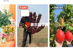 花卉界的奇葩假貨植物大盤點