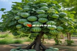 花卉界的奇葩假貨植物大盤點