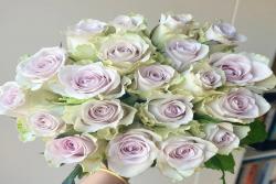 中國的鮮花產(chǎn)地主要有哪些