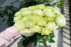綠色格林 Green Romantica