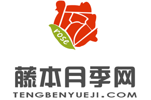 門廊絨球月季的優(yōu)缺點(diǎn)分析